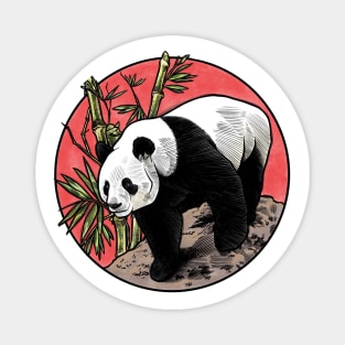 China Panda Magnet